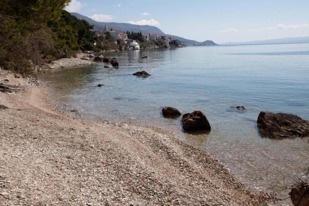 Apartament Rajic *
